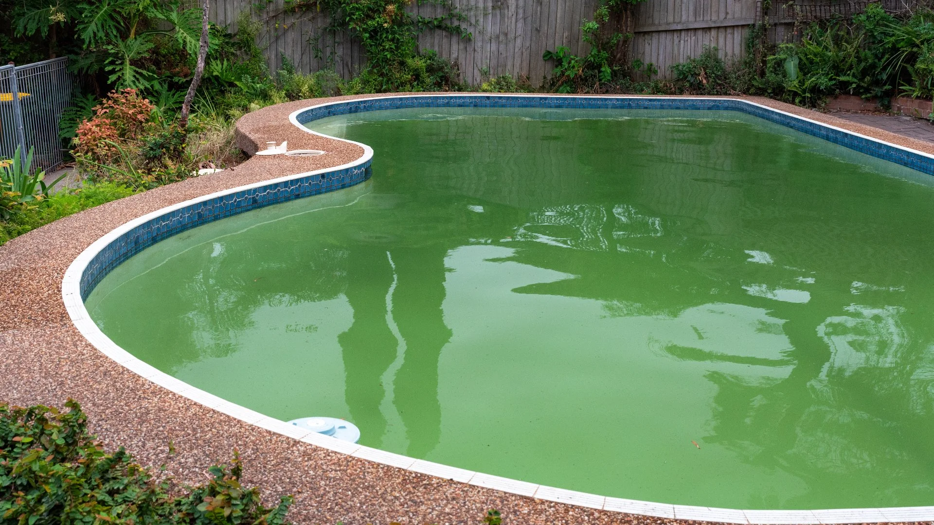 Why Is Your Pool Water Cloudy?