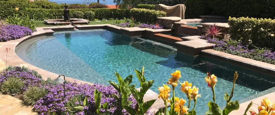 Flowers and plants around a pool in Bridgehampton, NY.