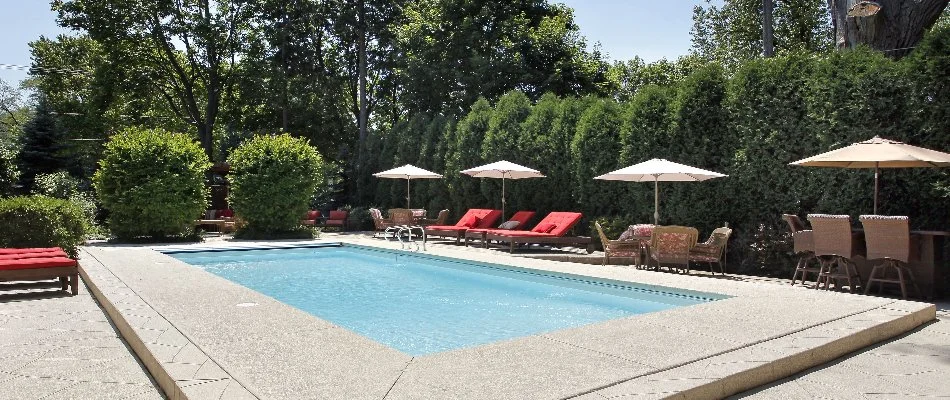 Hedges surrounding a pool in Bridgehampton, NY.