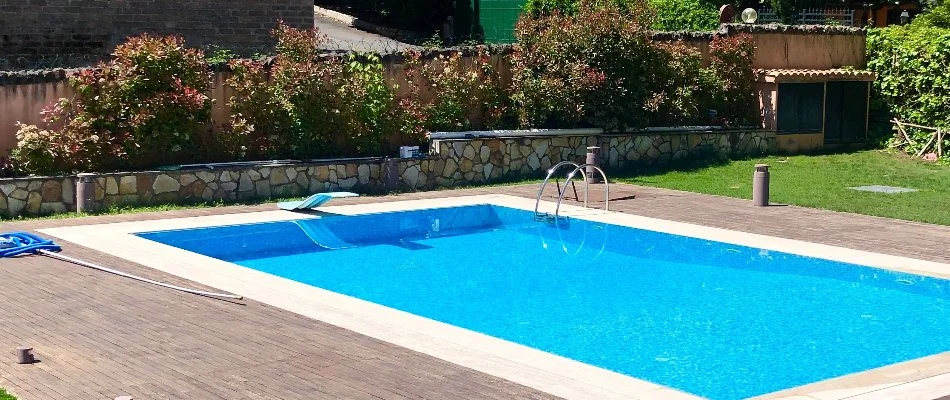 Plants around a pool in Bridgehampton, NY.
