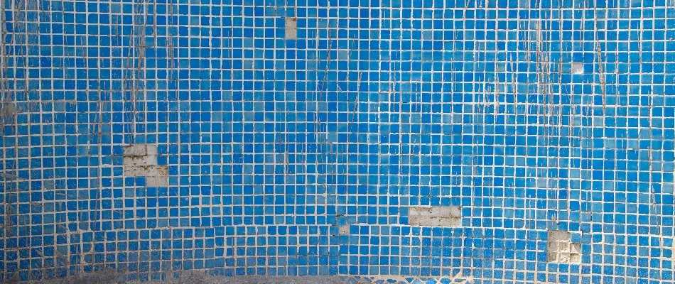 Pool shell in Bridgehampton, NY, with missing tiles.