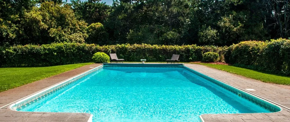 Shrubs around a pool in Bridgehampton, NY.