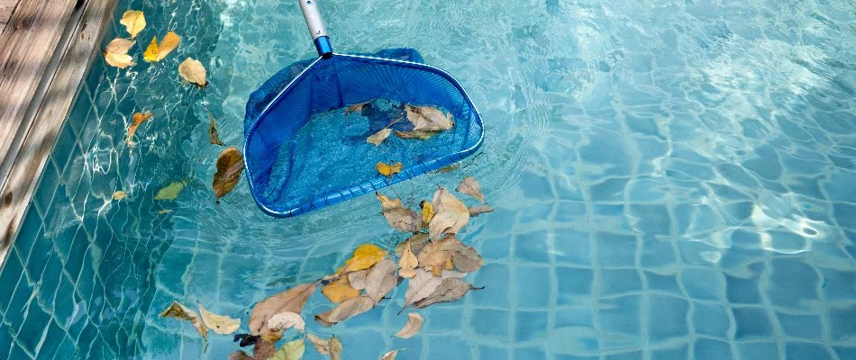 Skimmer catching leaves in a pool in Bridgehampton, NY.