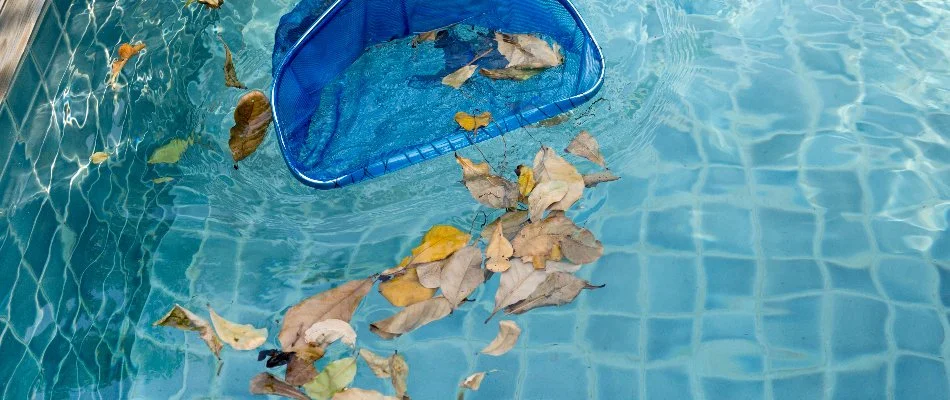 Cleaning leaves in a pool in Southampton, NY.