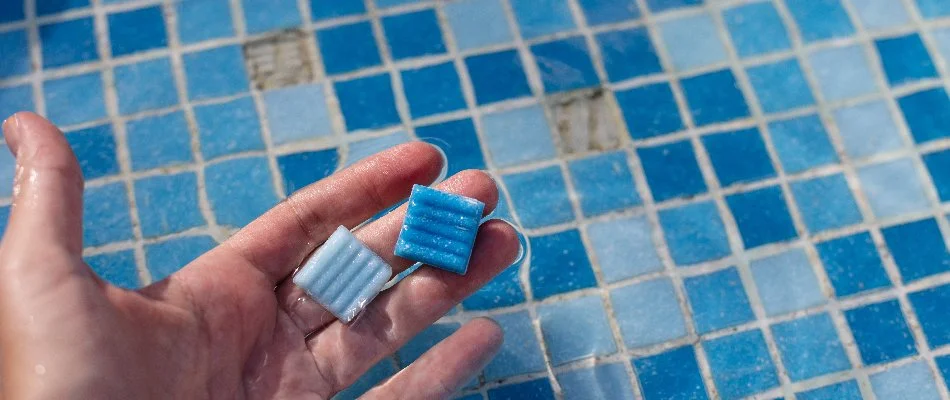 A hand holding two blue pool tiles needing repair in Bridgehampton, NY.