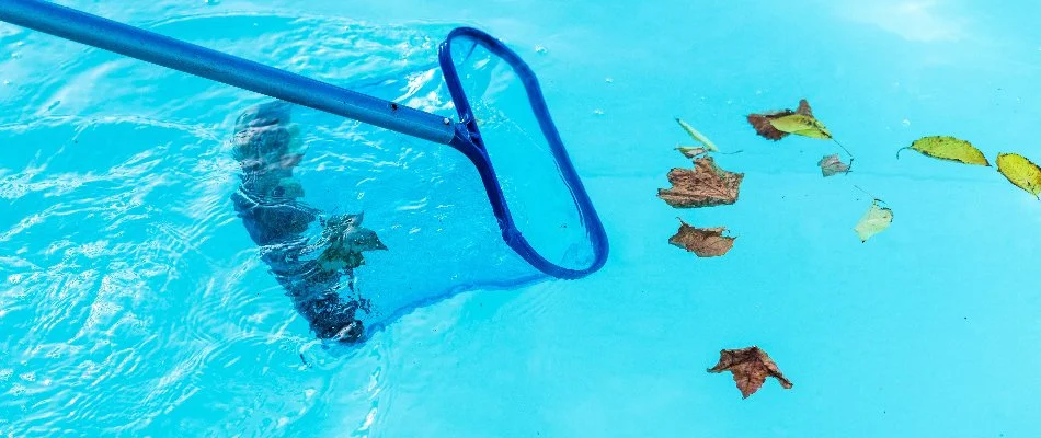 Net skimming leaves in a pool in Bridgehampton, NY.