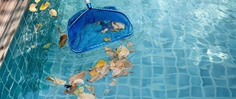 A skimmer catching leaves in a pool in Bridgehampton, NY.