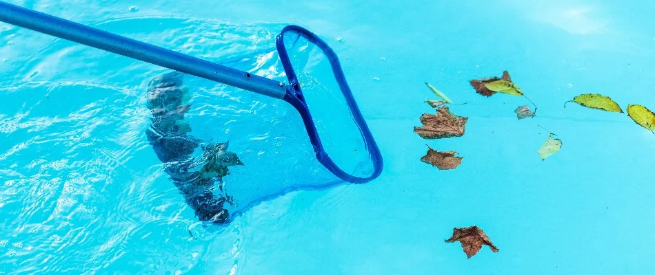 Skimming debris off a pool in Sagaponack, NY.